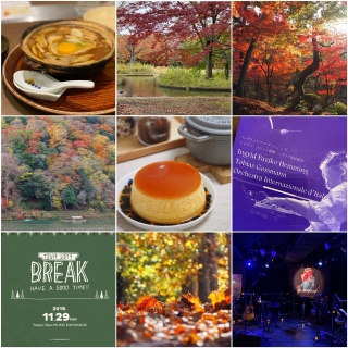 ���t���b�V���B
