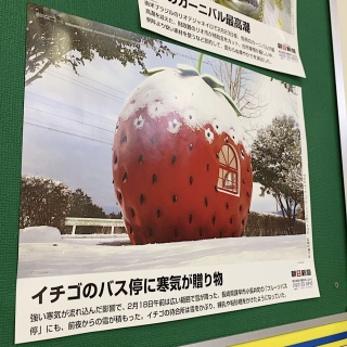 �w�̌f����