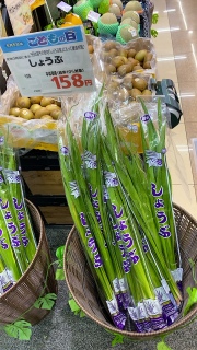���傤�ԓ�