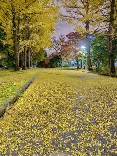 �������傭