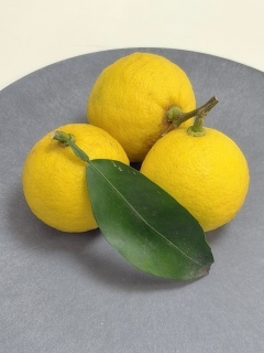 �������[��♡